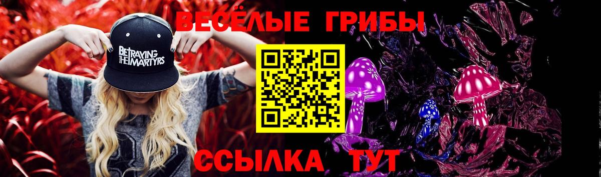 Псилоцибиновые грибы мицелий  Вход с VPN  Малгобек  Псилоцибиновые грибы Magic Shrooms 