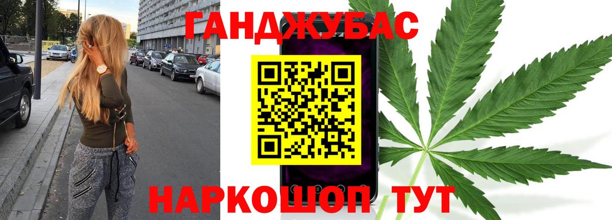 МАРИХУАНА сатива Малгобек